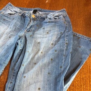 Lane Bryant Jeans